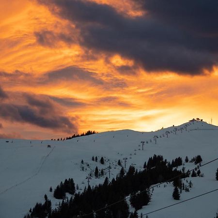 Les Saisies Appart 1 Chambre Au Pied Des Pistes Buitenkant foto