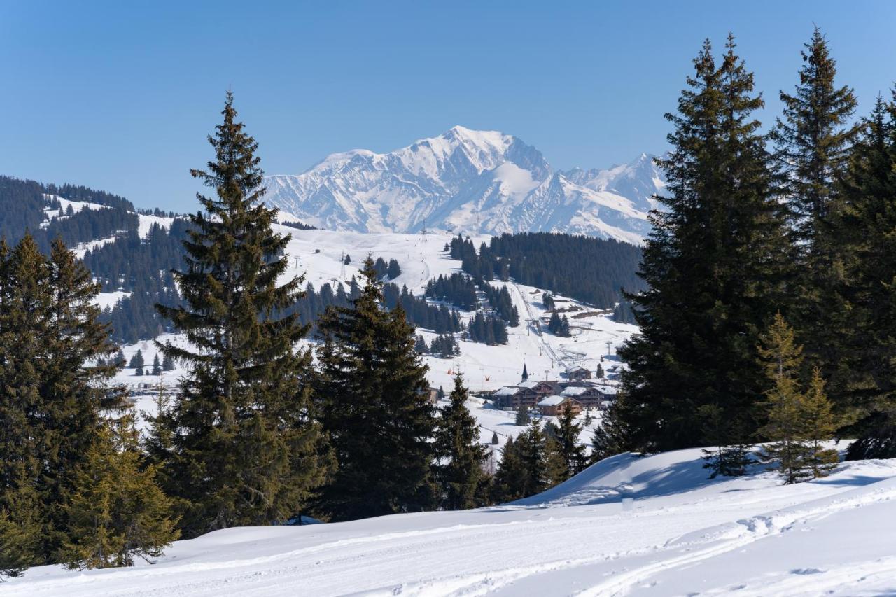 Les Saisies Appart 1 Chambre Au Pied Des Pistes Buitenkant foto