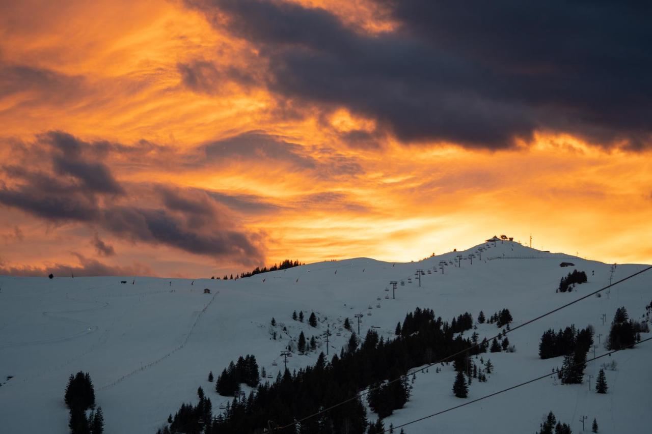 Les Saisies Appart 1 Chambre Au Pied Des Pistes Buitenkant foto