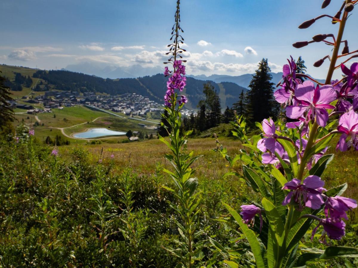 Les Saisies Appart 1 Chambre Au Pied Des Pistes Buitenkant foto