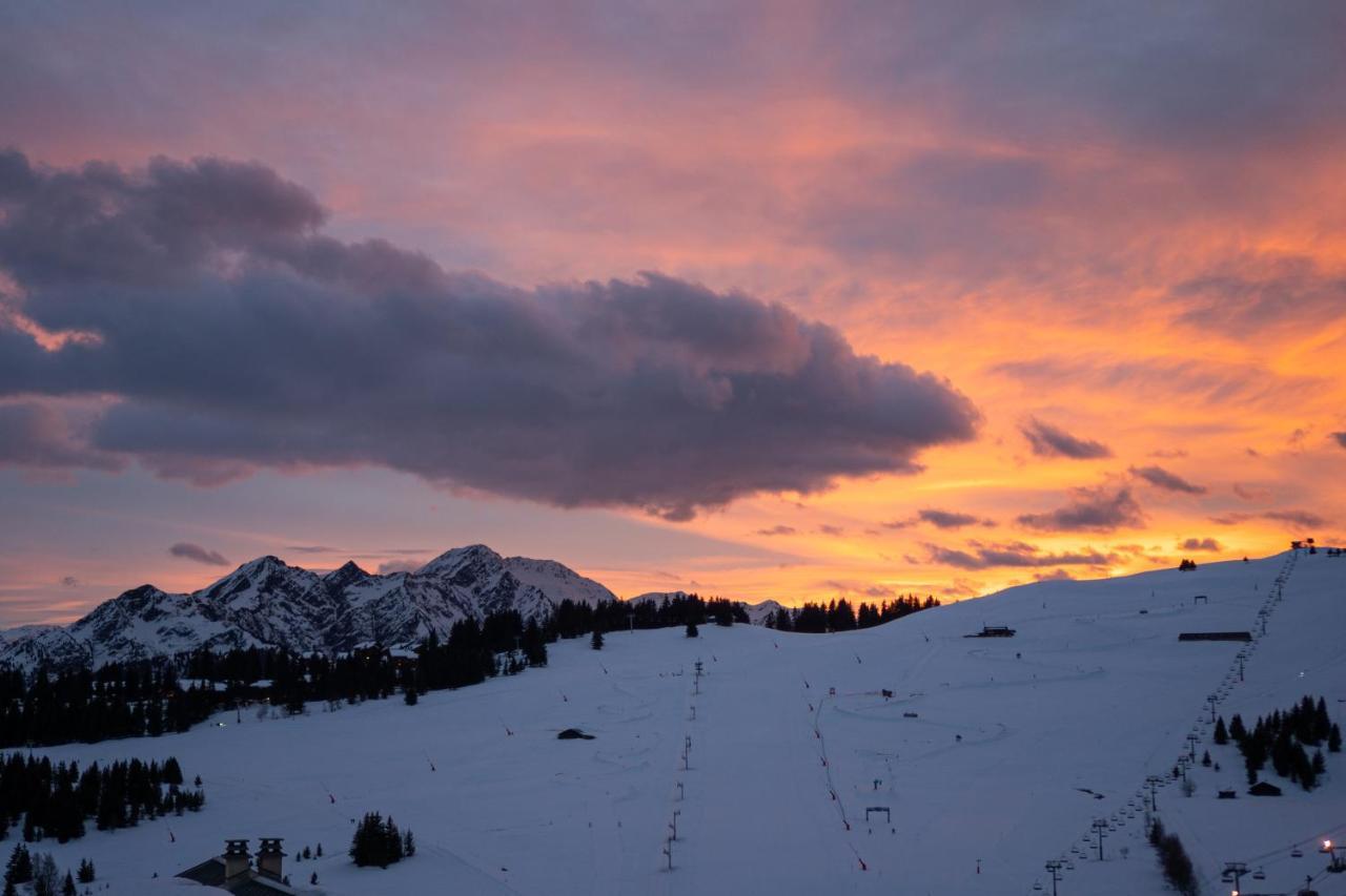 Les Saisies Appart 1 Chambre Au Pied Des Pistes Buitenkant foto