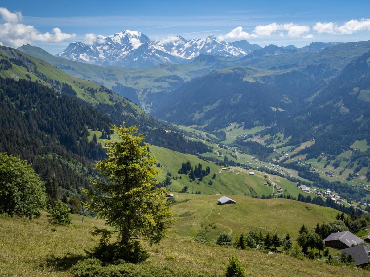 Les Saisies Appart 1 Chambre Au Pied Des Pistes Buitenkant foto